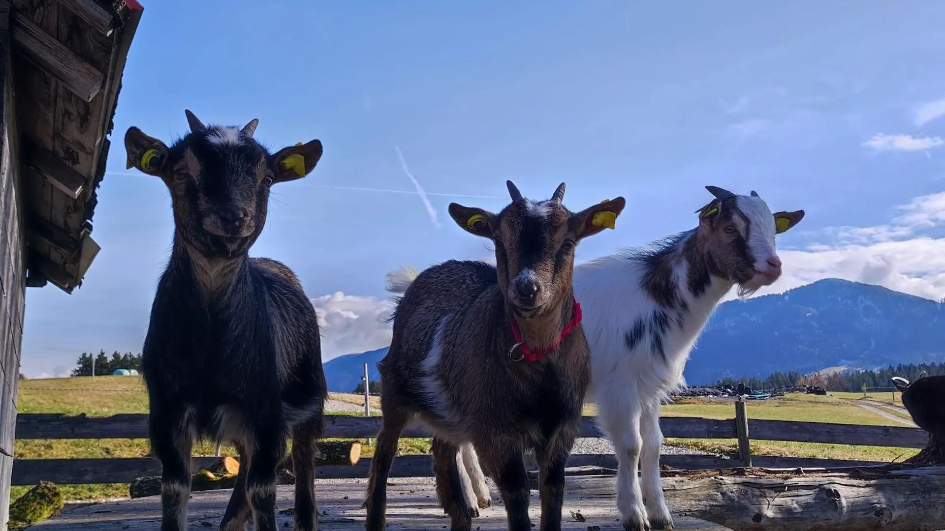 Ferienhof Beim Bohlar - Hochplatte Halblech 0*,  Germany